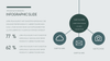 Pitch Deck - Powerpoint Template
