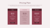 Business Plan Presentation