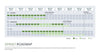 Agile Management