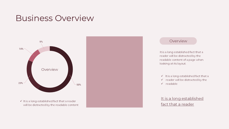 Business Plan Presentation