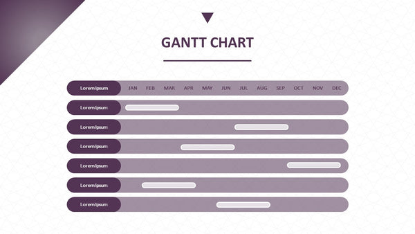 Product Roadmap