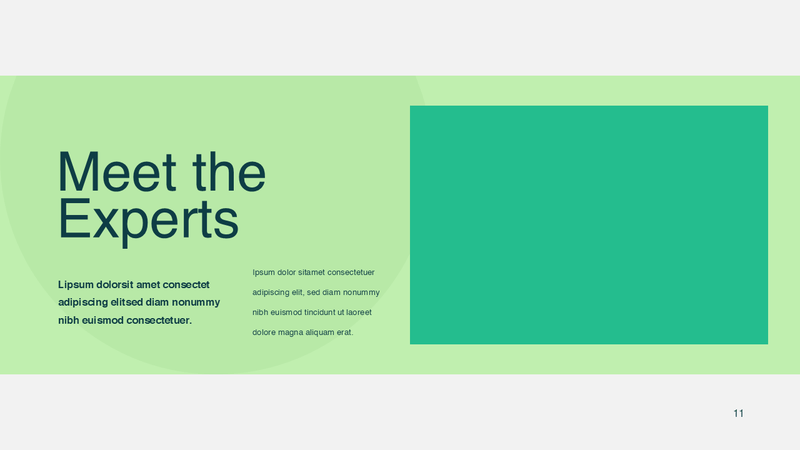 Portfolio Showcase PowerPoint Presentation