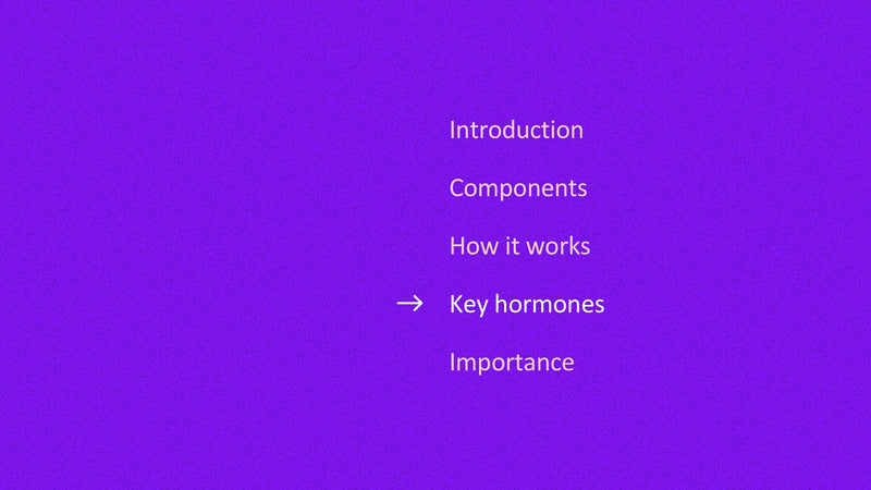 The Endocrine System