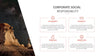 Investor Presentation