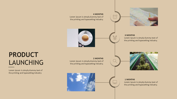 Product Introduction