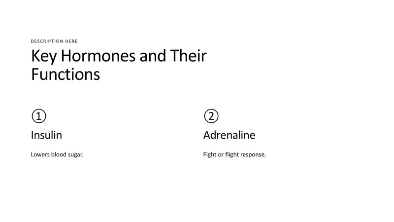 The Endocrine System