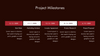 Project Overview Google Slides