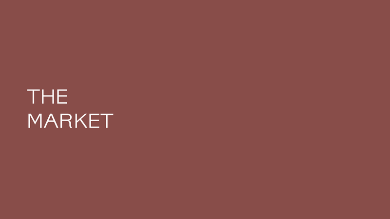 Investor Pitch Deck for Startups