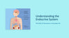 The Endocrine System