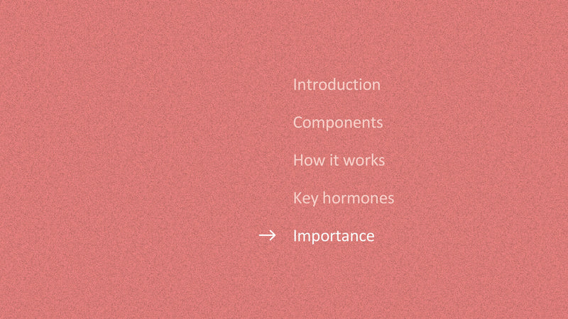 The Endocrine System