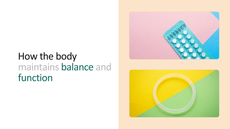 The Endocrine System