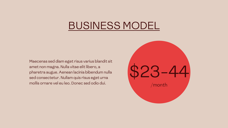 Investor Pitch Deck for Startups