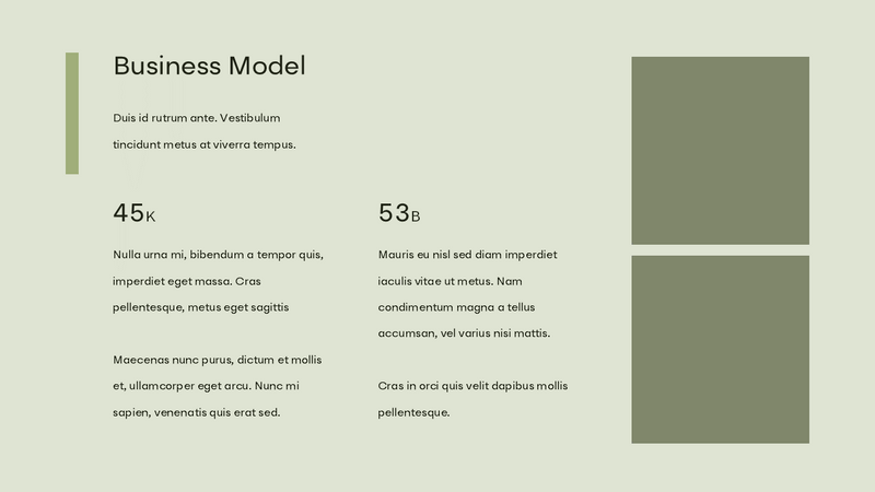 NADIKA - BUSINESS PLAN