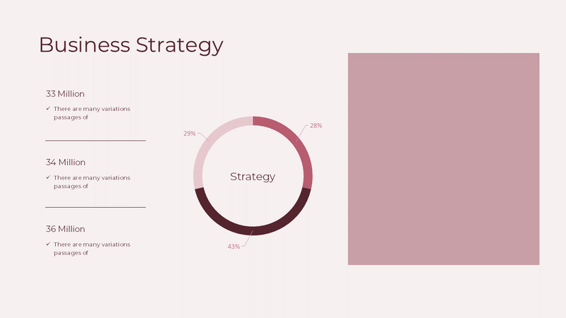 Business Plan Presentation