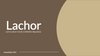 Lachor - Annual Report Google Slides Template