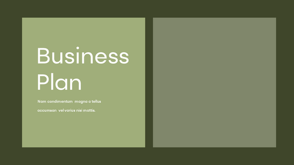 NADIKA - BUSINESS PLAN
