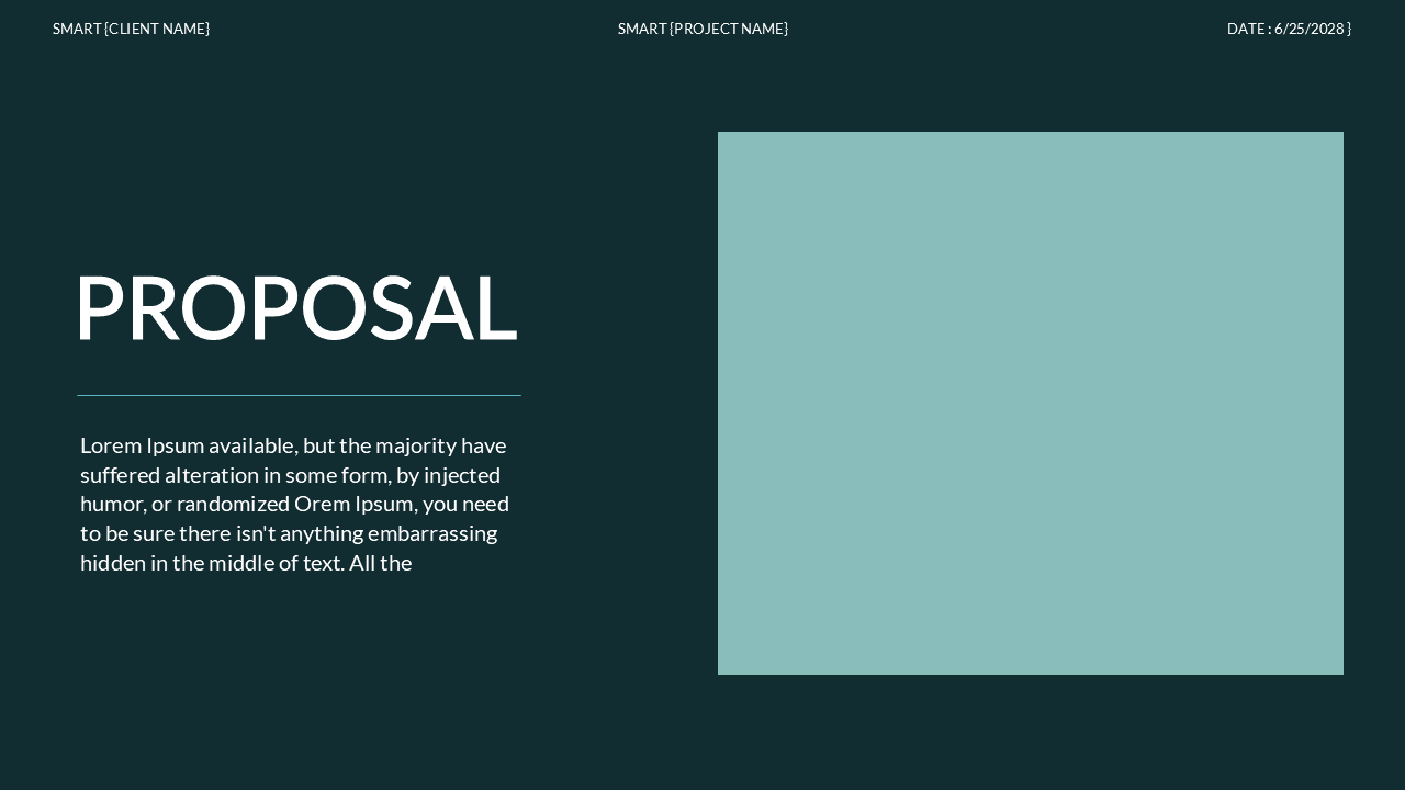 Brand Proposal Presentation