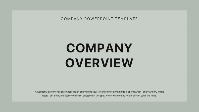 Company Overview - PowerPoint Template