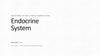 The Endocrine System