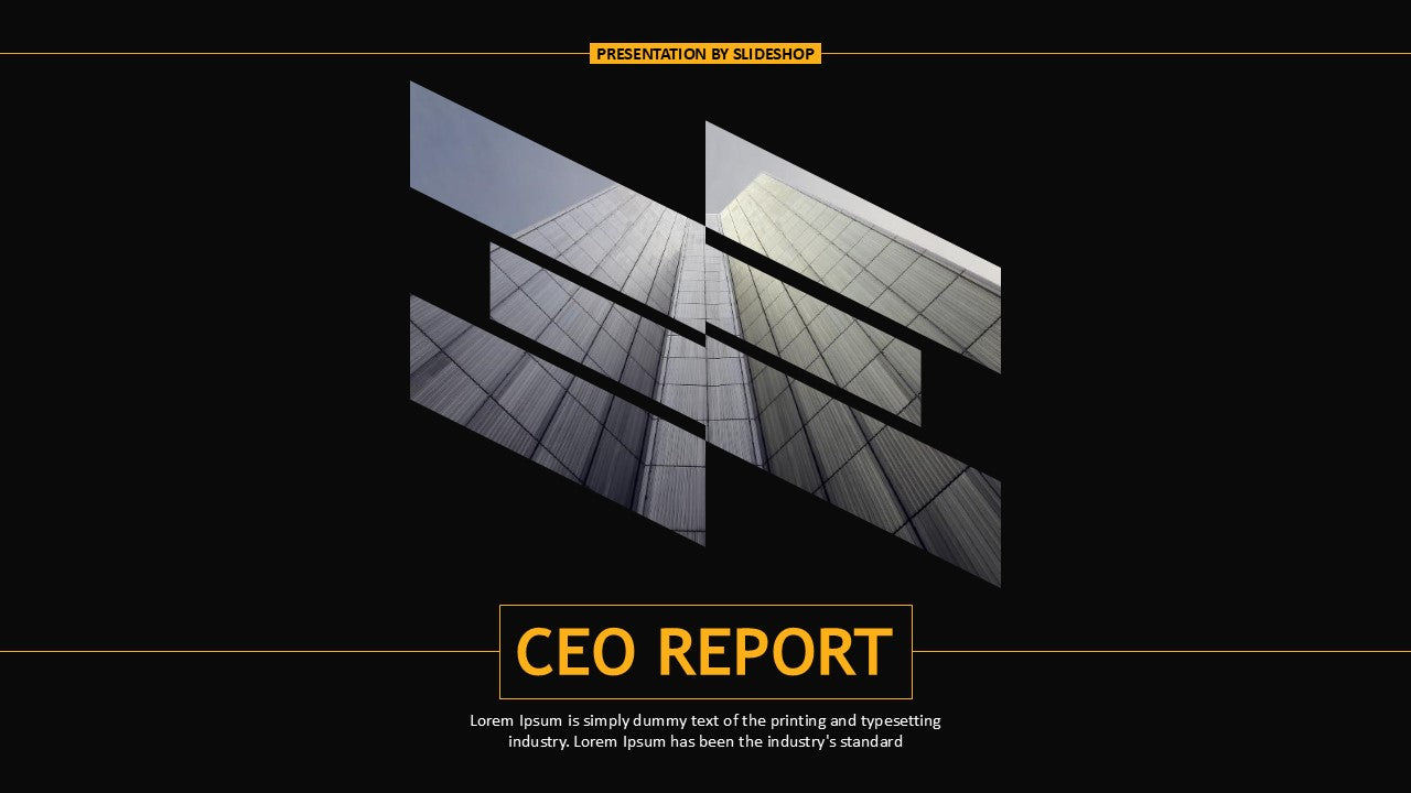 CEO Report