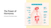 The Endocrine System