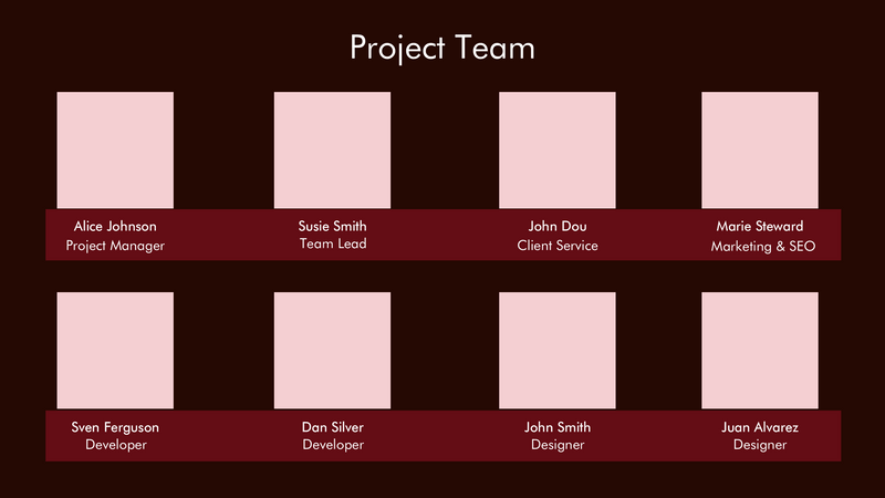 Project Overview Google Slides