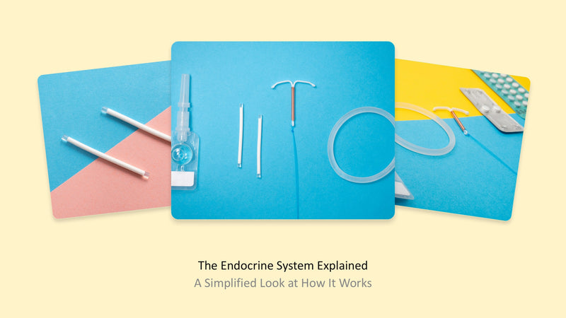 The Endocrine System