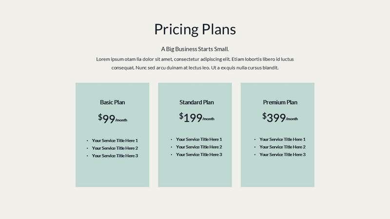 Business Plan PowerPoint Presentation