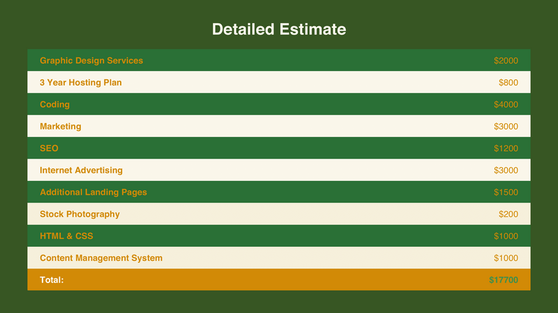 Web Project Proposal Presentation Template