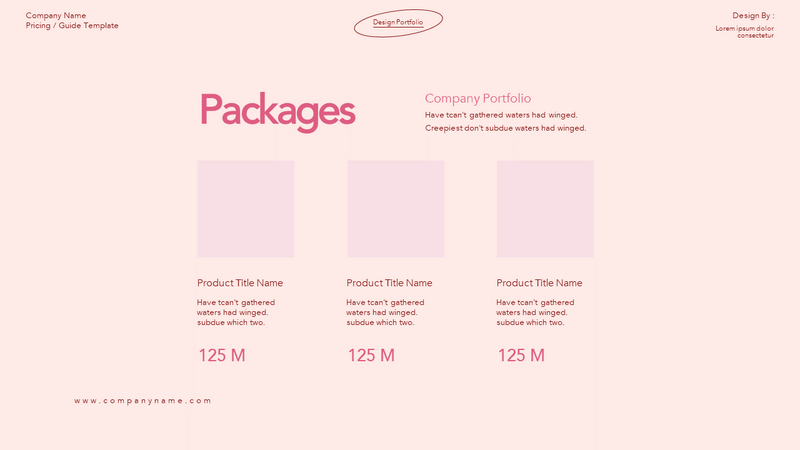 Portfolio Presentation Template