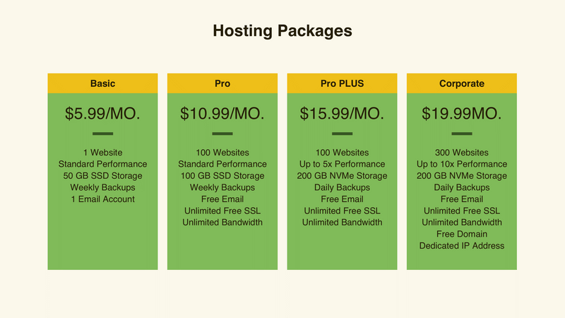 Web Project Proposal Presentation Template