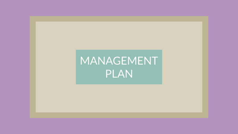 Business Plan PowerPoint Presentation