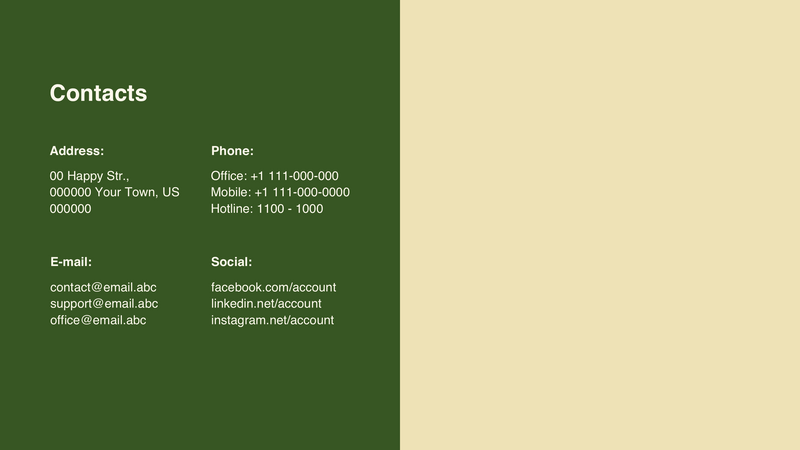 Web Project Proposal Presentation Template