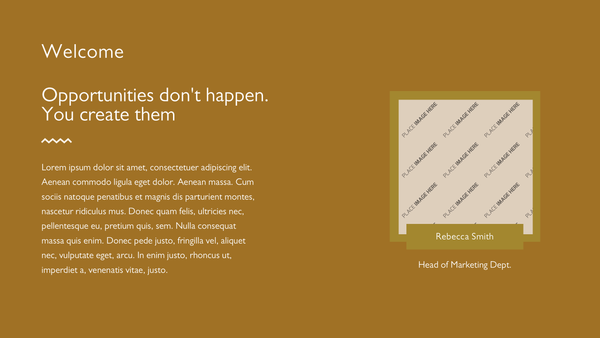 Marketing Business Plan Presentation Template