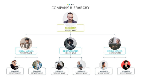 Organizational Chart