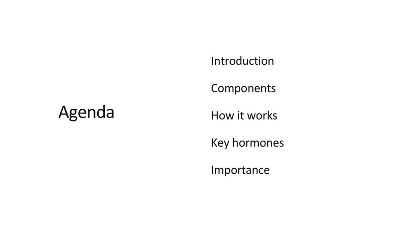 The Endocrine System