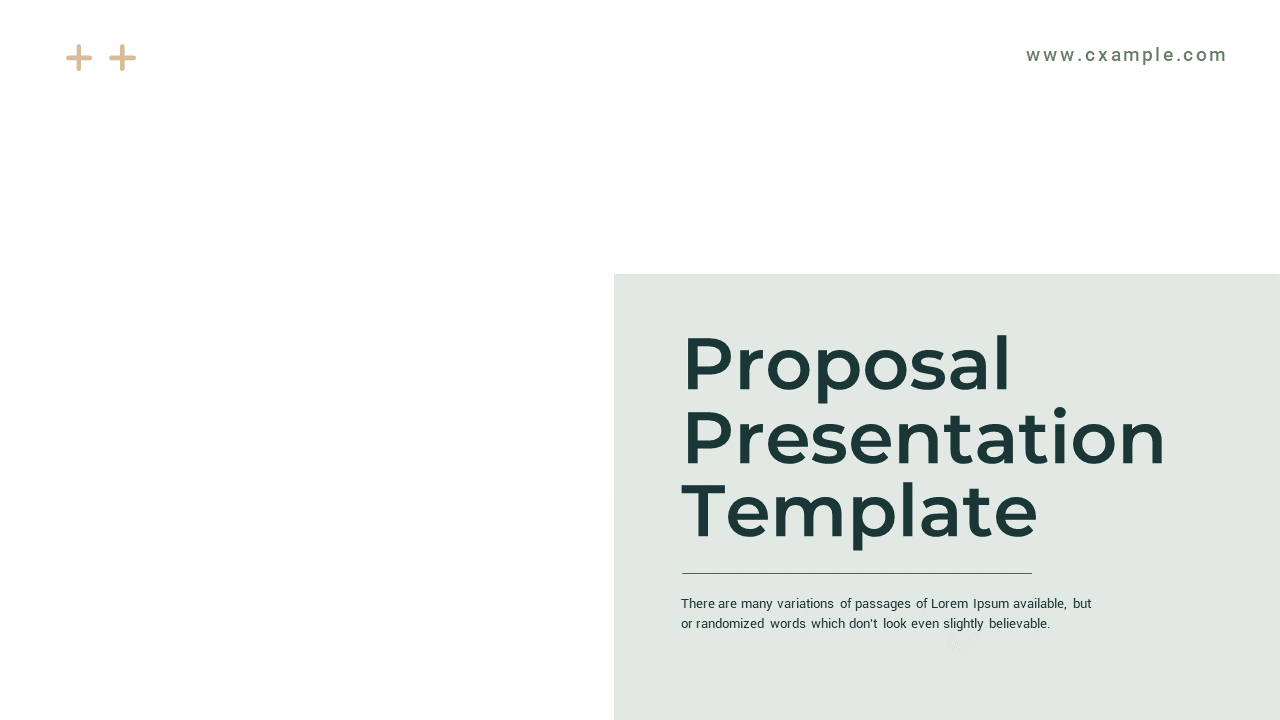 Proposal Presentation Template