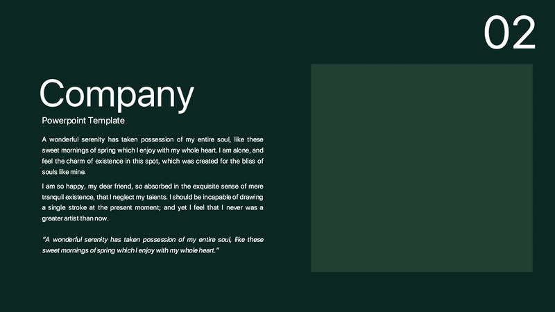 Company Overview - PowerPoint Template