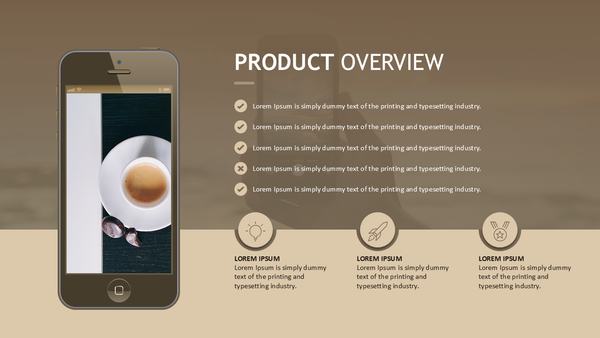 Product Introduction
