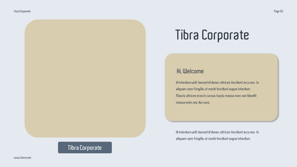 Tibra - Pitch Deck For Investor