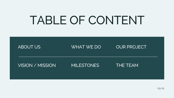 Modern Professional  Business Presentation