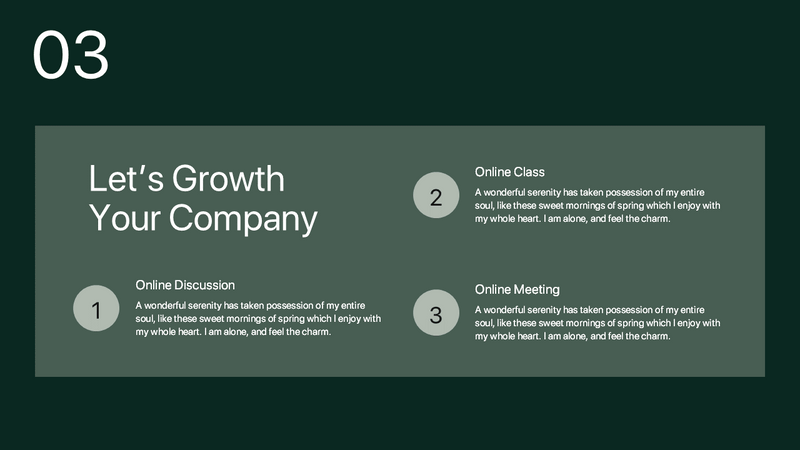 Company Overview - PowerPoint Template