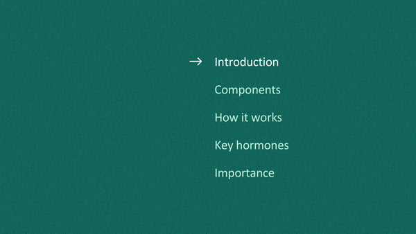 The Endocrine System