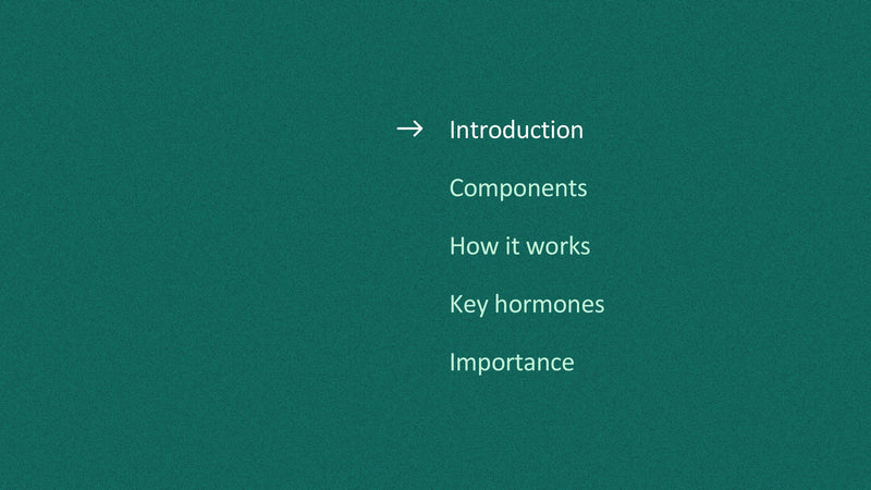 The Endocrine System
