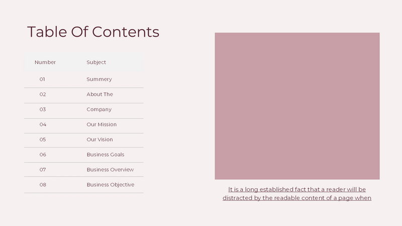 Business Plan Presentation