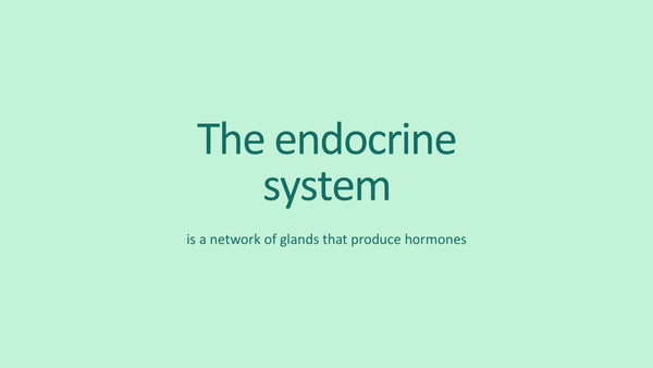 The Endocrine System