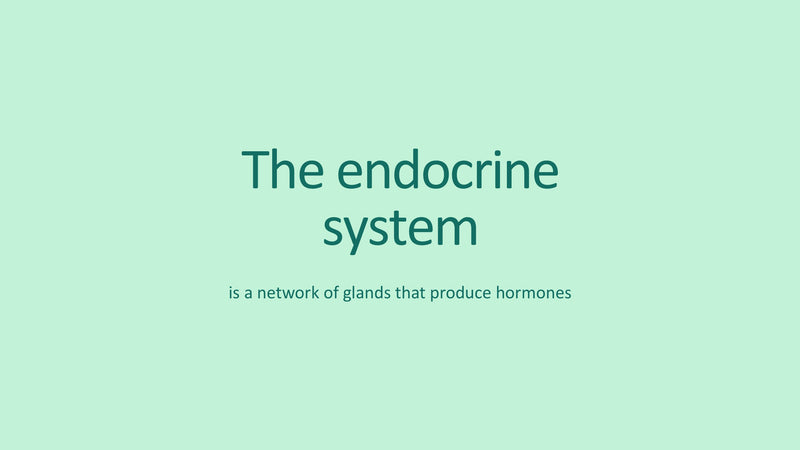 The Endocrine System