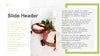 Plant Based Diet
