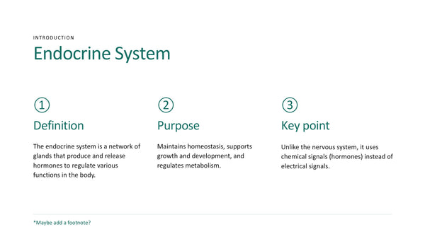 The Endocrine System