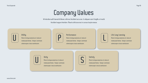 Tibra - Pitch Deck For Investor